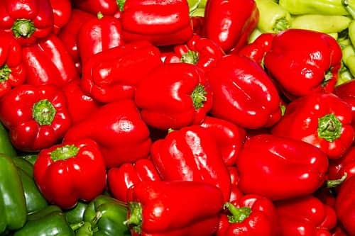 خرید و قیمت انواع فلفل دلمه ای قرمز